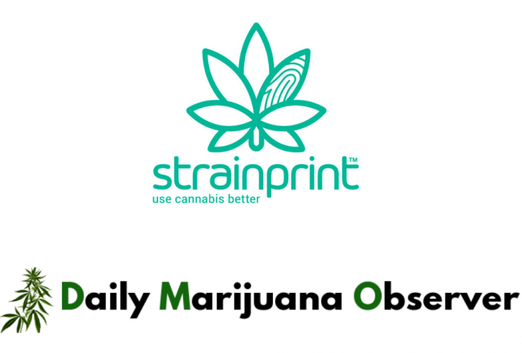 Daily Marijuana Observer