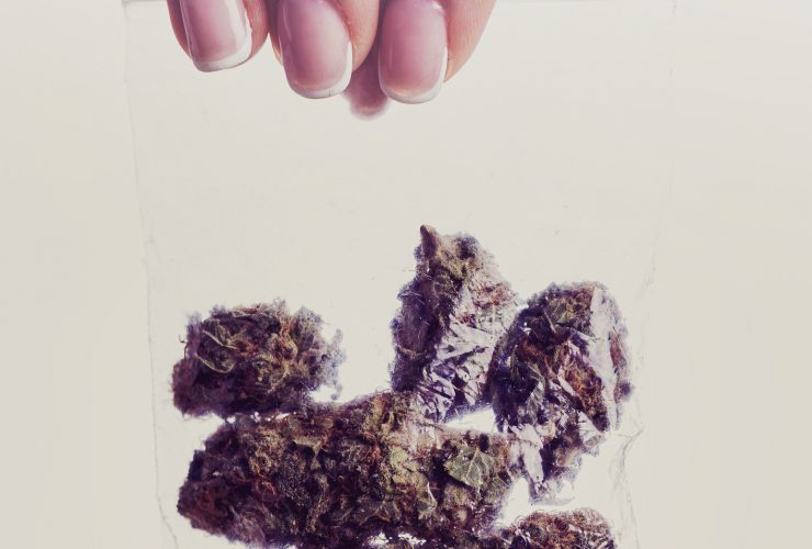 Strainprint - Medical Cannabis - Exploring Women's Health